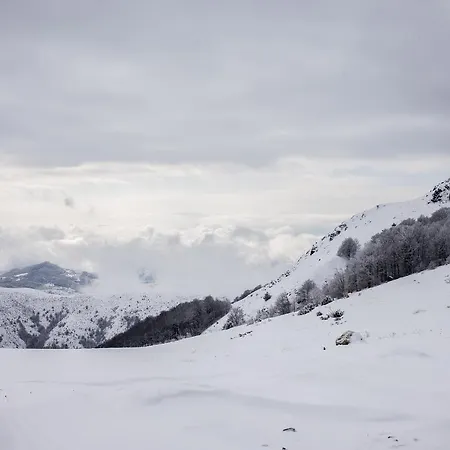 Holiday home Floris Kopaonik