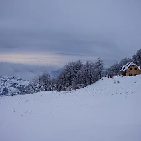 Semesterbostad Floris