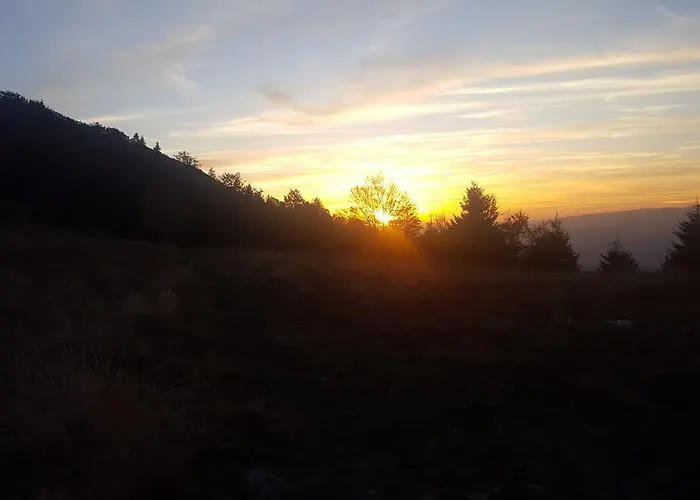 Dom wakacyjny Floris *