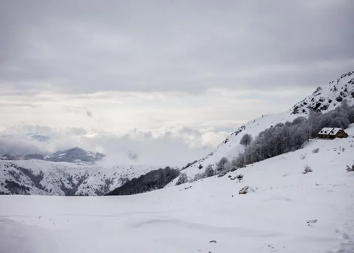 Dom wakacyjny Floris Kopaonik