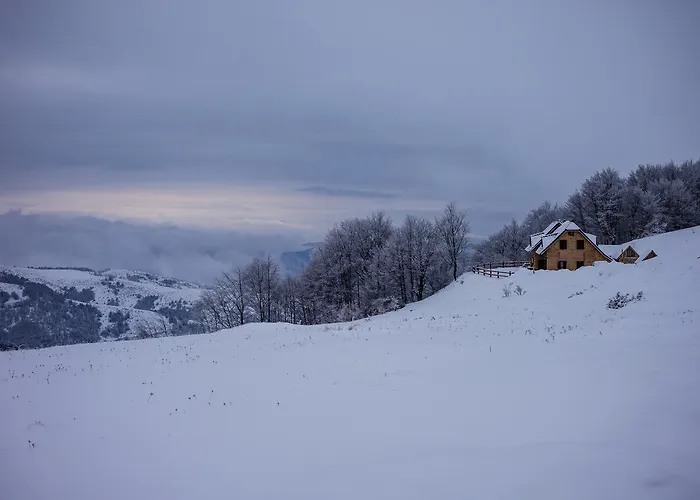 Dom wakacyjny Floris